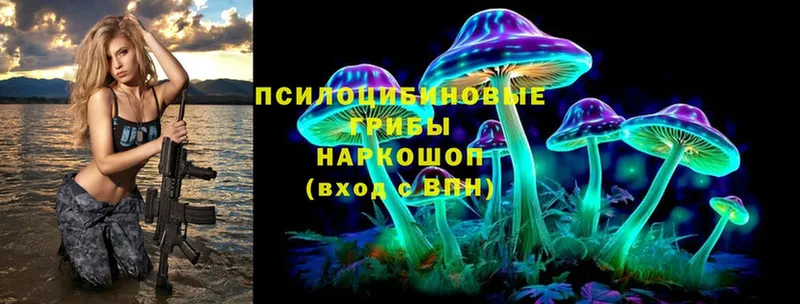 Галлюциногенные грибы Magic Shrooms  цена   Канск 